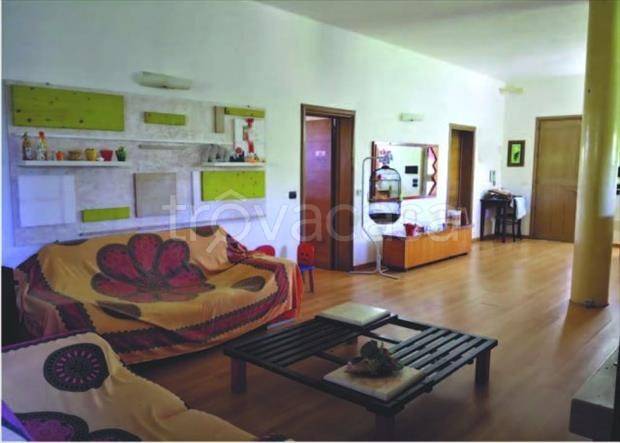 immagine annuncio 4 di 9