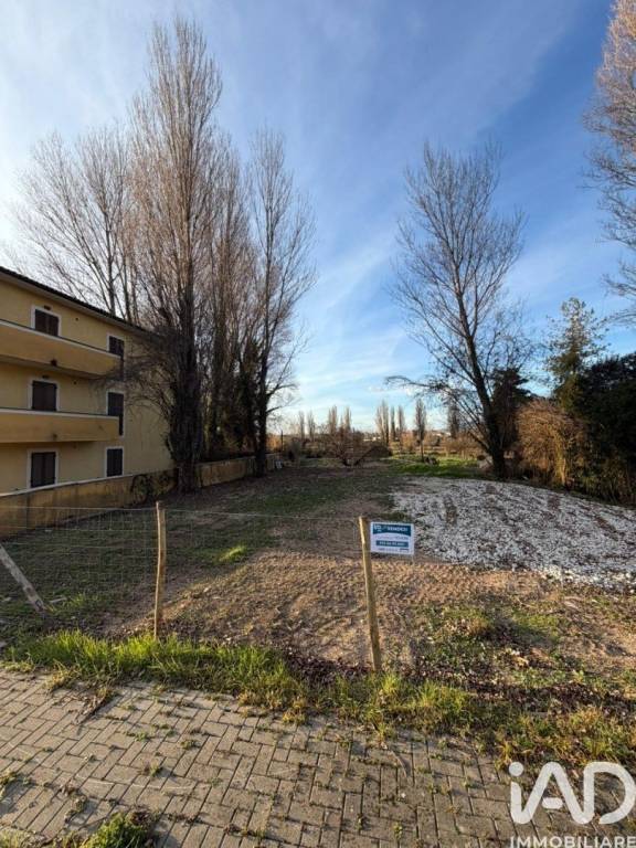 immagine annuncio 3 di 8