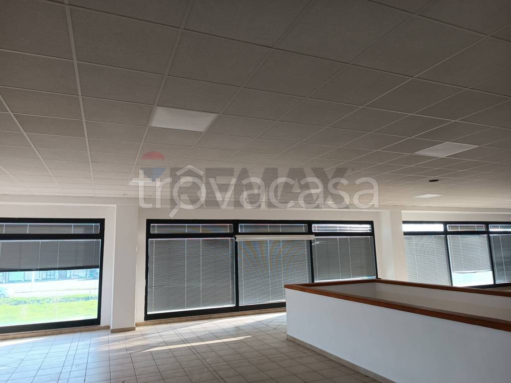 immagine annuncio 5 di 7