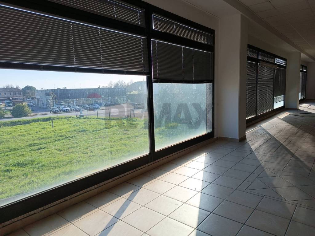 immagine annuncio 6 di 7