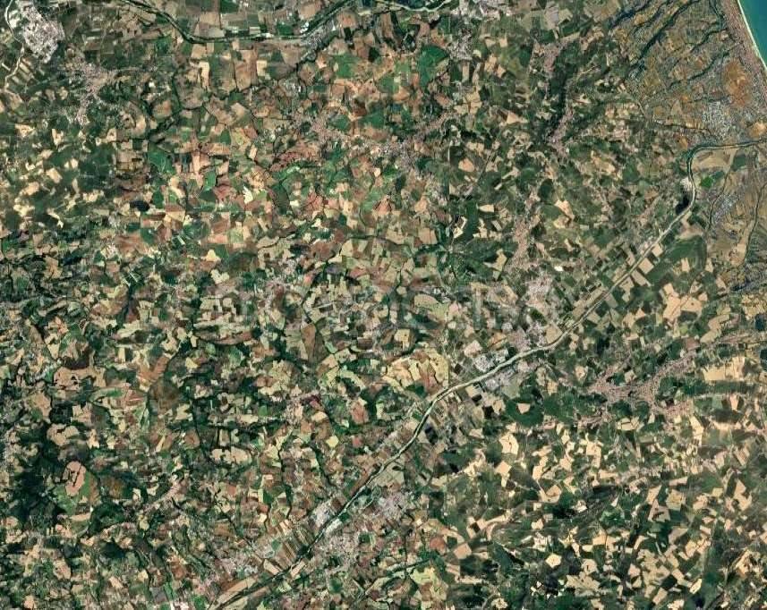 immagine annuncio 8 di 12