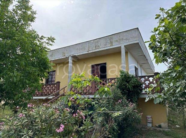 immagine annuncio 1 di 6