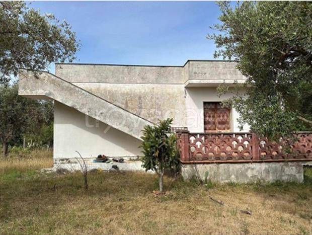 immagine annuncio 3 di 6