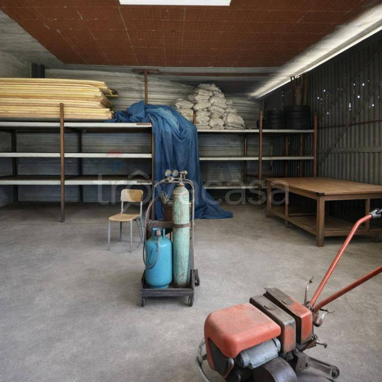 immagine annuncio 2 di 7