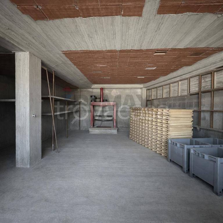 immagine annuncio 3 di 7