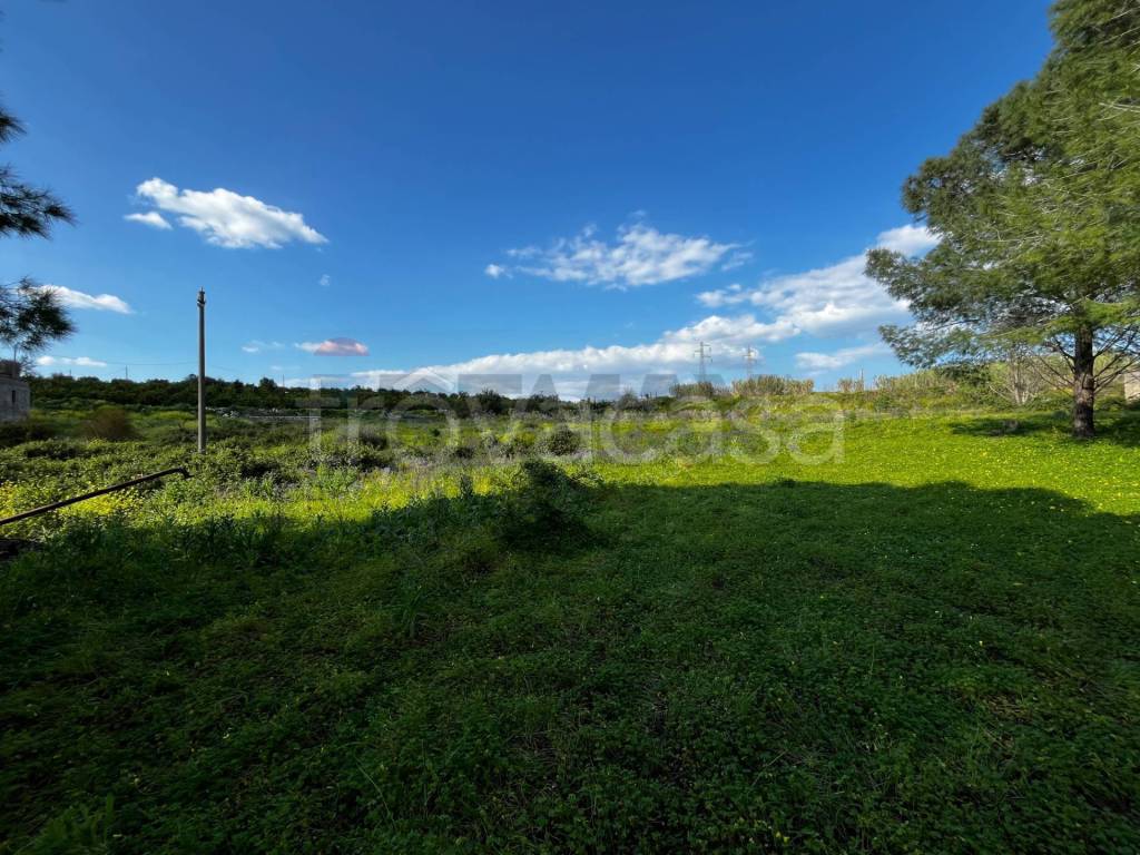 immagine annuncio 4 di 8