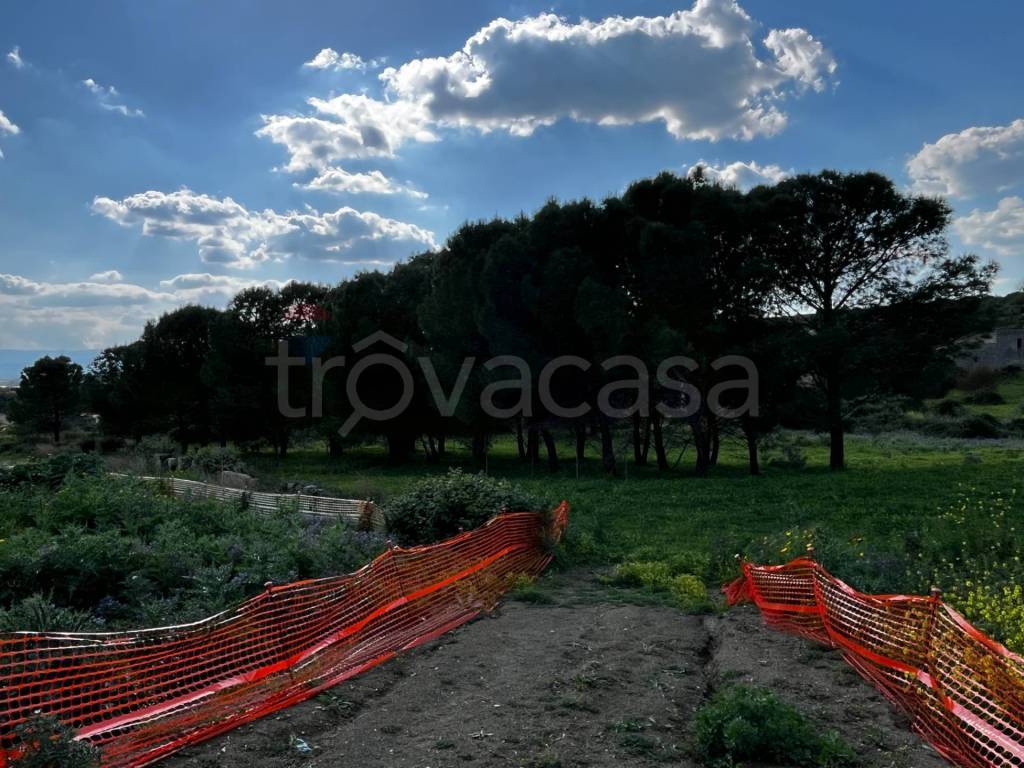 immagine annuncio 7 di 8