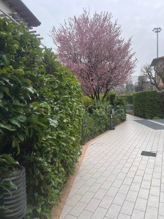 immagine annuncio 5 di 9