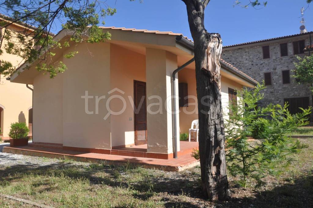 immagine annuncio 8 di 14