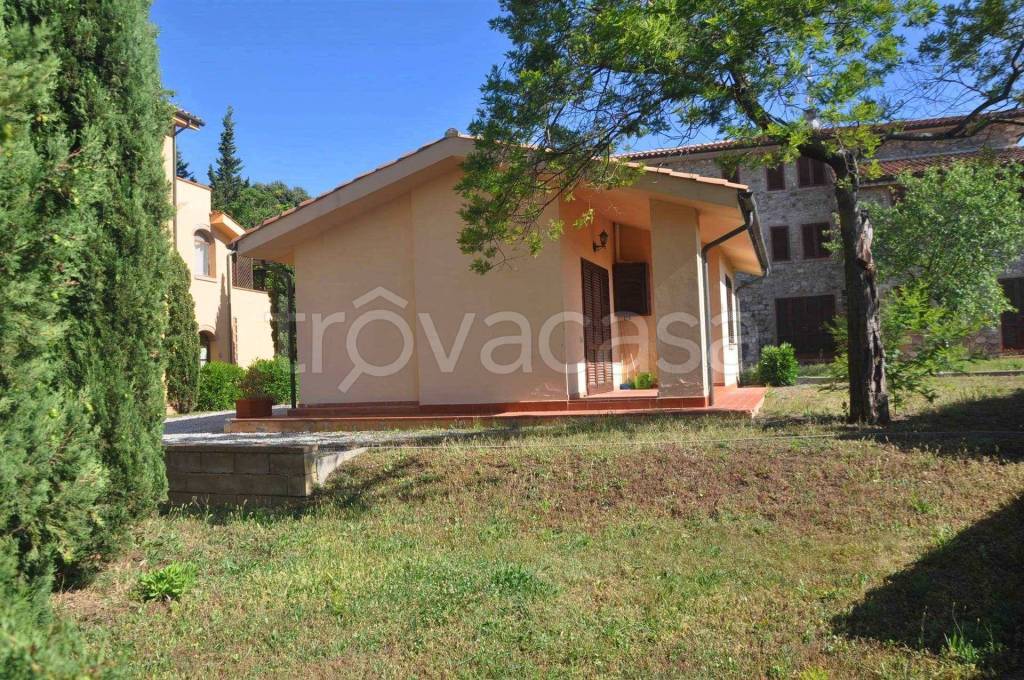 immagine annuncio 9 di 14