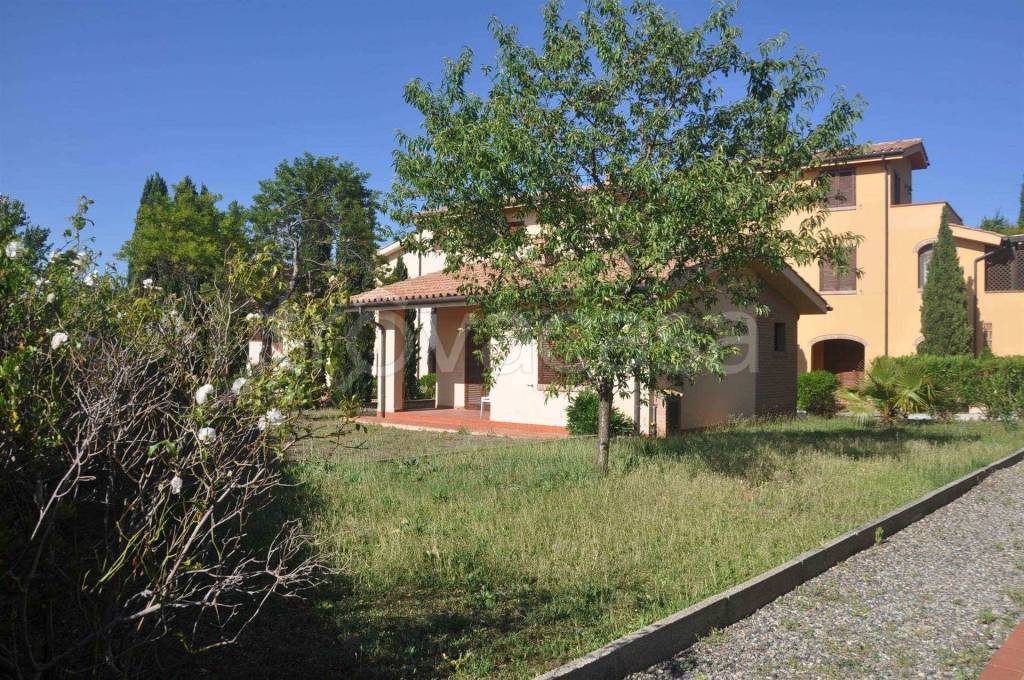 immagine annuncio 10 di 14