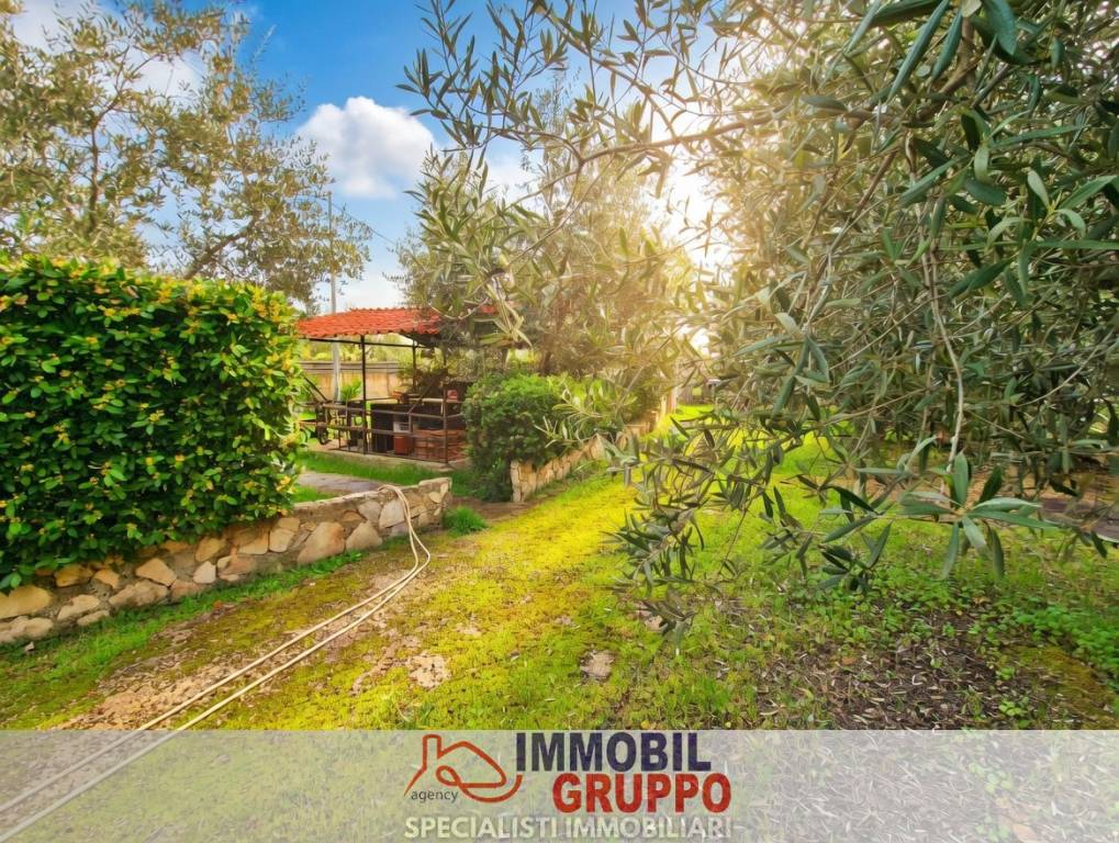 immagine annuncio 5 di 14