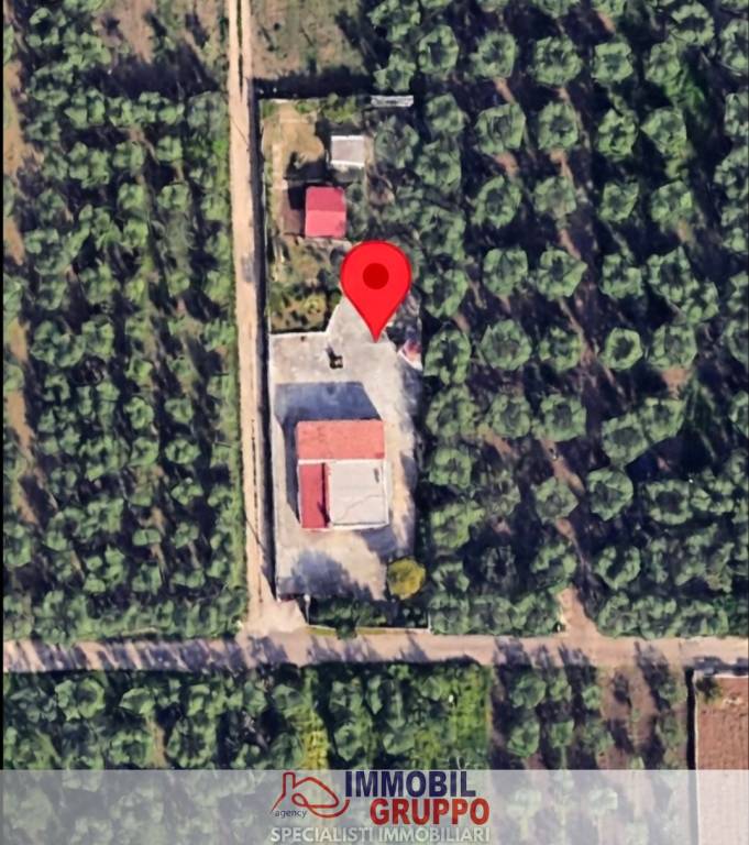 immagine annuncio 7 di 14