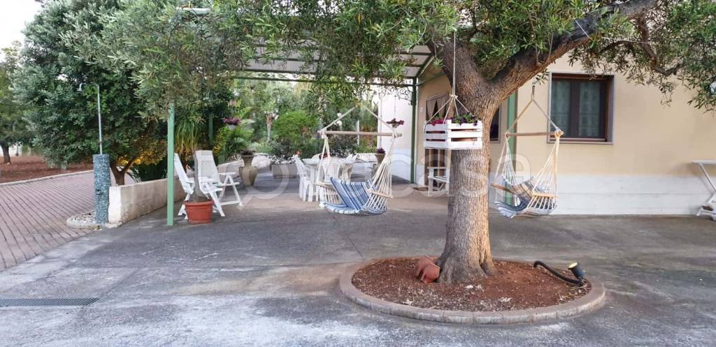 immagine annuncio 6 di 8