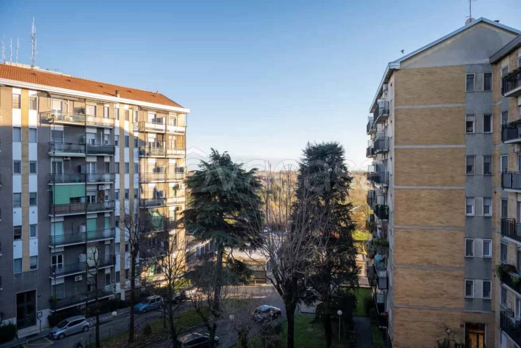 immagine annuncio 8 di 13