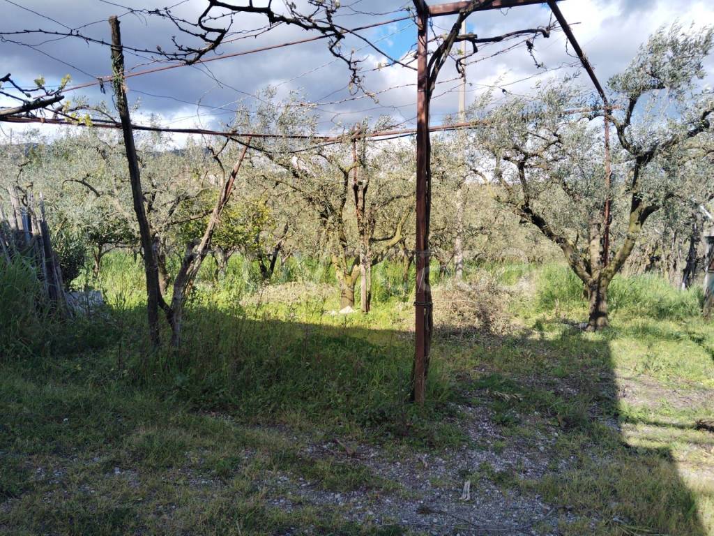 immagine annuncio 1 di 6