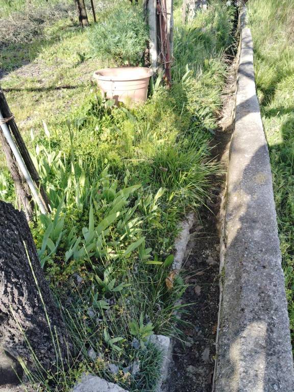 immagine annuncio 2 di 6