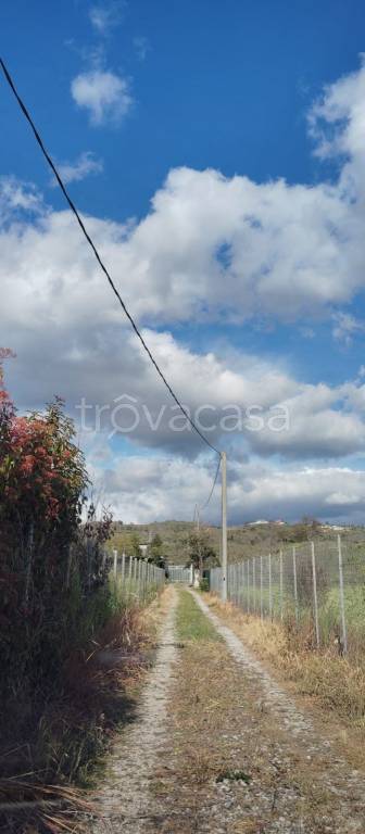 immagine annuncio 4 di 6