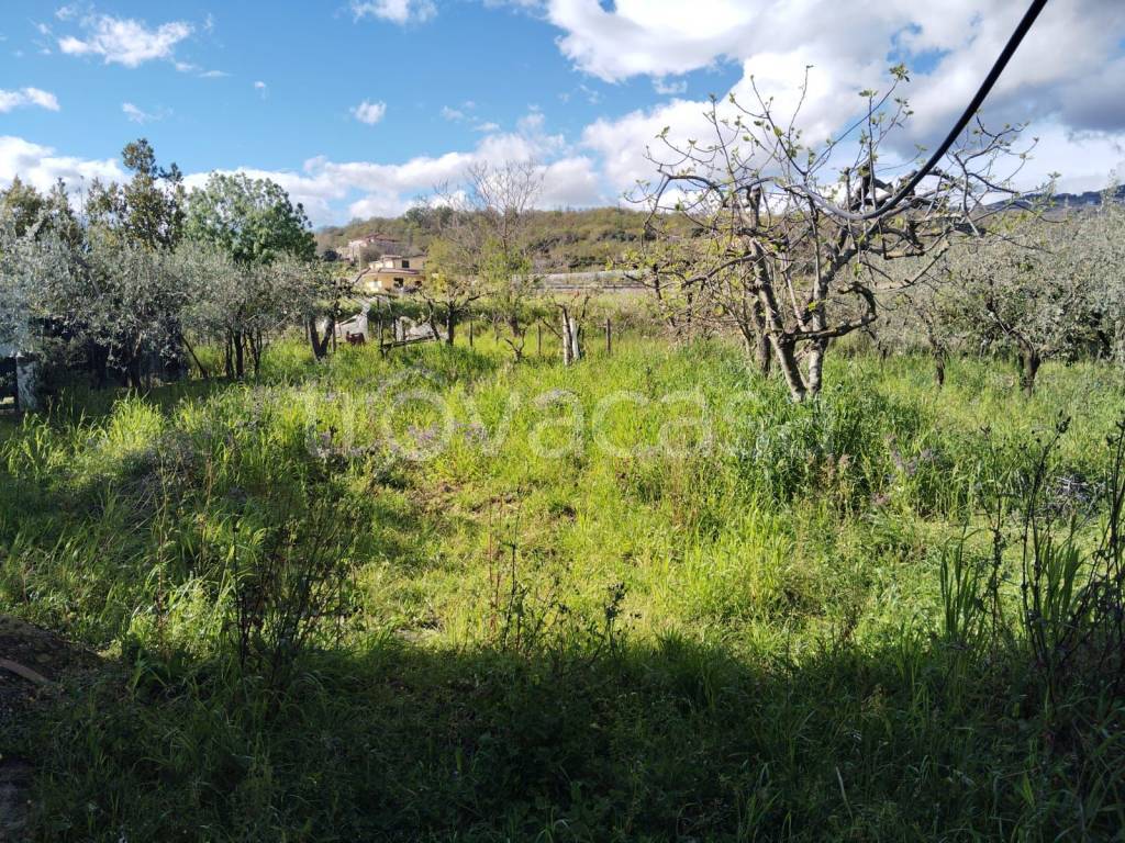 immagine annuncio 5 di 6