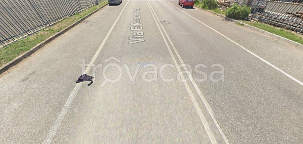 immagine annuncio 7 di 14