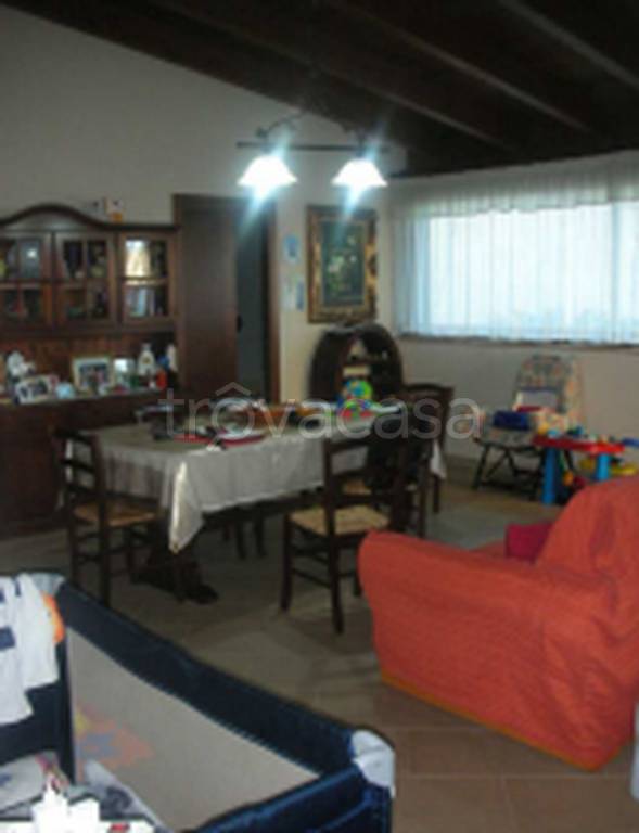 immagine annuncio 5 di 11