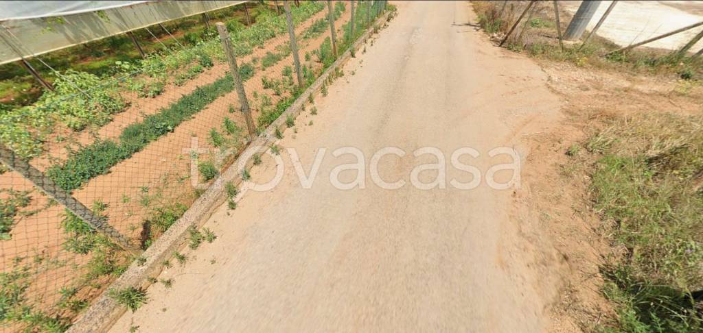 immagine annuncio 6 di 12