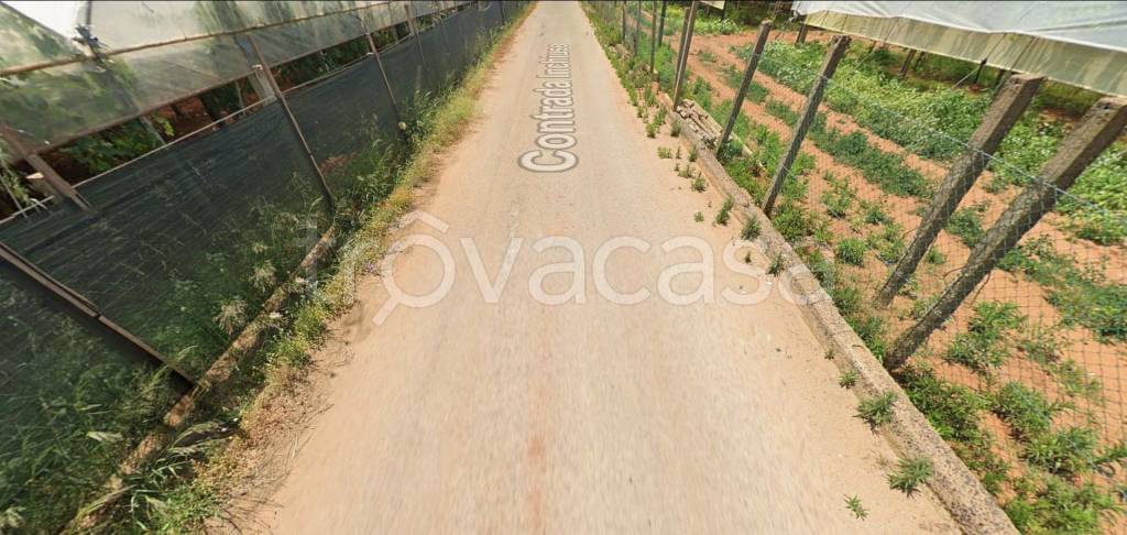 immagine annuncio 9 di 12