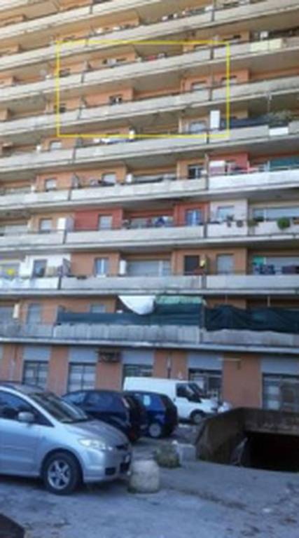 immagine annuncio 9 di 11