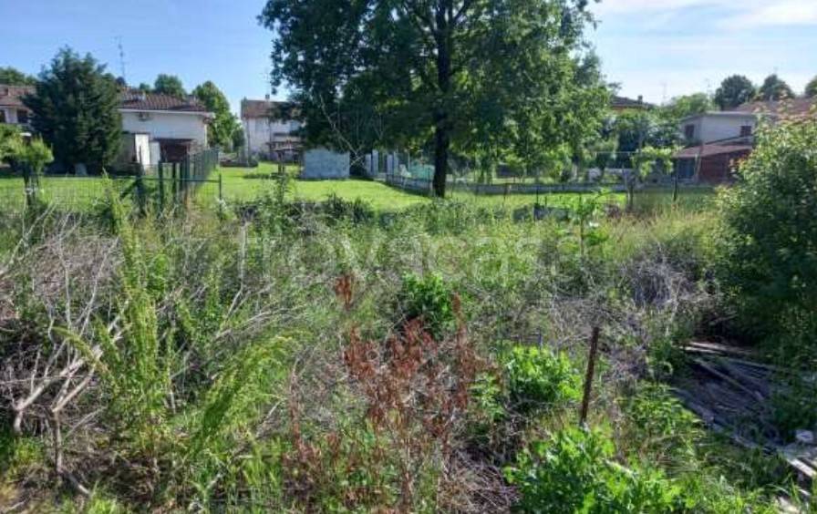 immagine annuncio 6 di 14