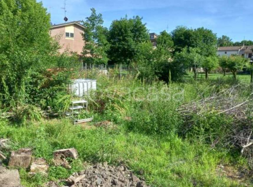 immagine annuncio 7 di 14