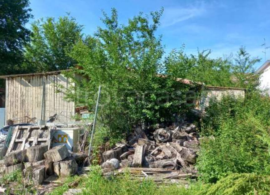 immagine annuncio 8 di 14