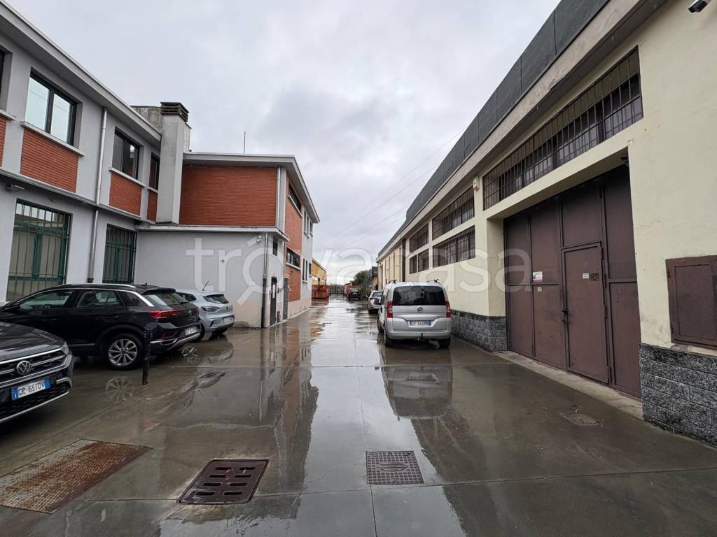 immagine annuncio 4 di 12