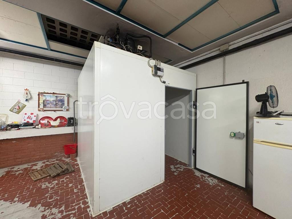 immagine annuncio 7 di 12