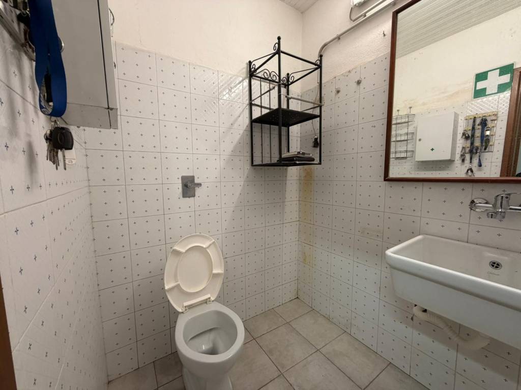 immagine annuncio 6 di 12