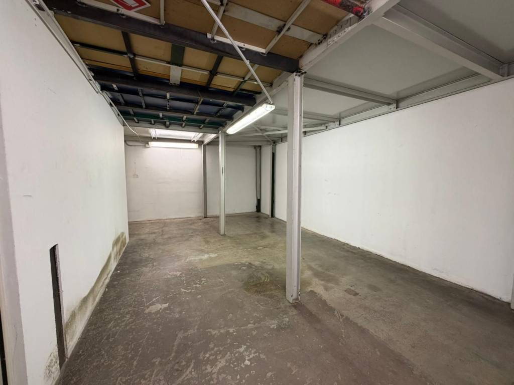 immagine annuncio 2 di 12