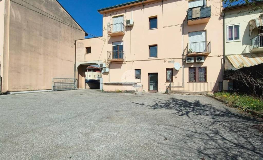 immagine annuncio 1 di 14