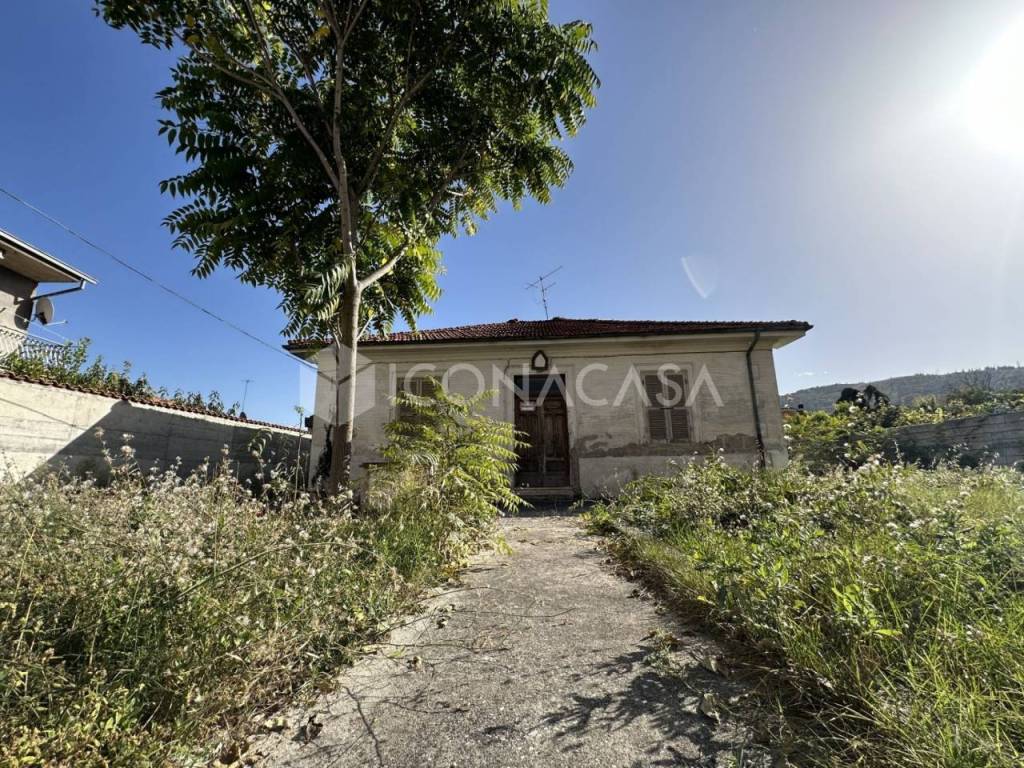 immagine annuncio 2 di 12