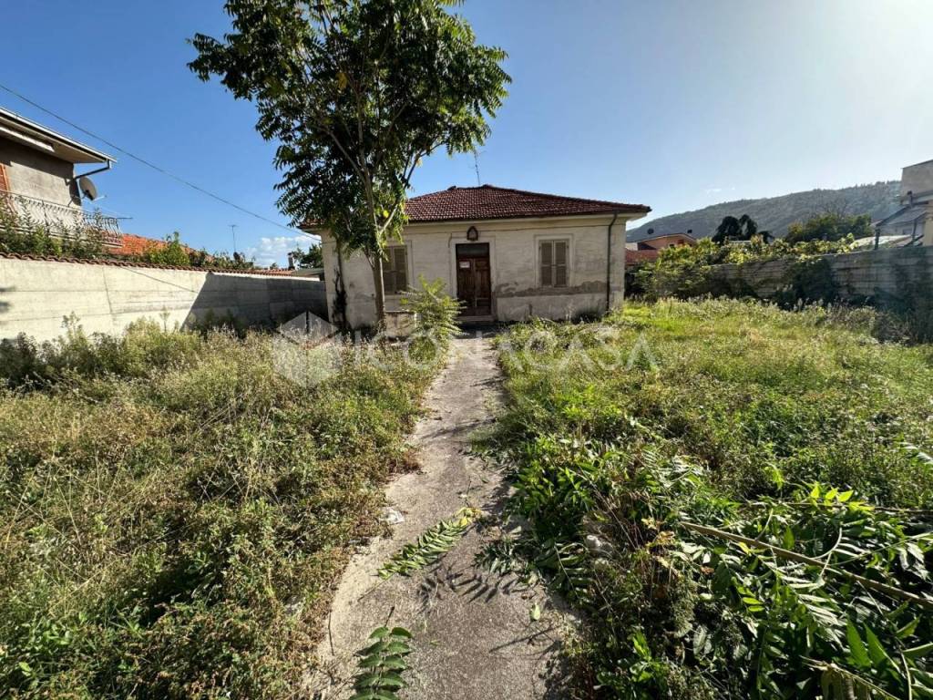 immagine annuncio 1 di 12