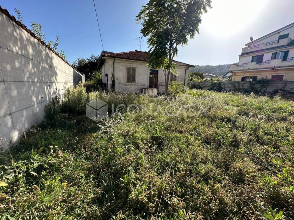 immagine annuncio 3 di 12