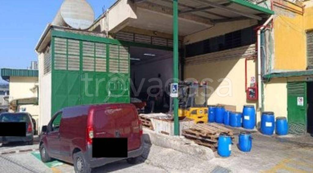 immagine annuncio 9 di 11