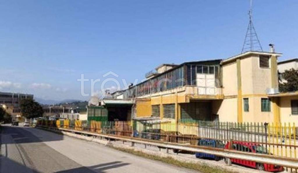 immagine annuncio 10 di 11