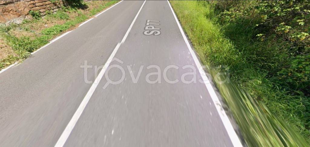 immagine annuncio 6 di 13