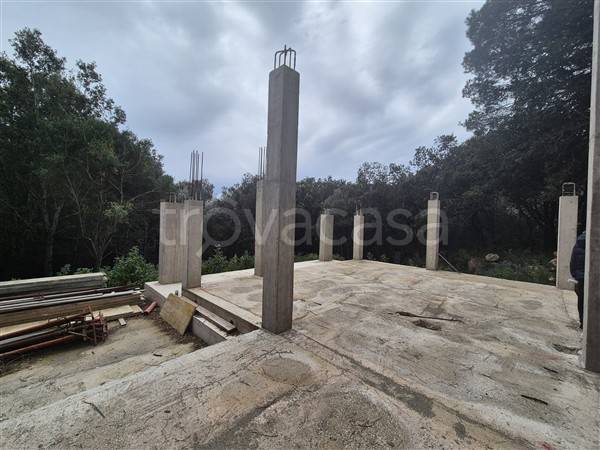 immagine annuncio 12 di 14