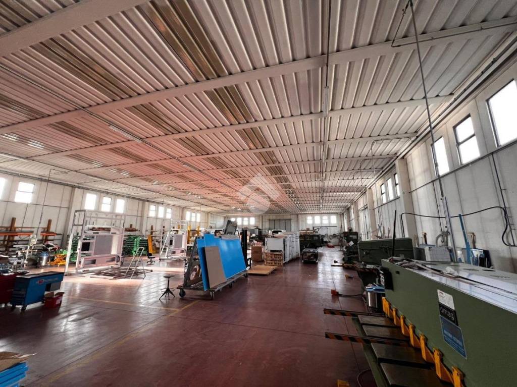 immagine annuncio 11 di 15