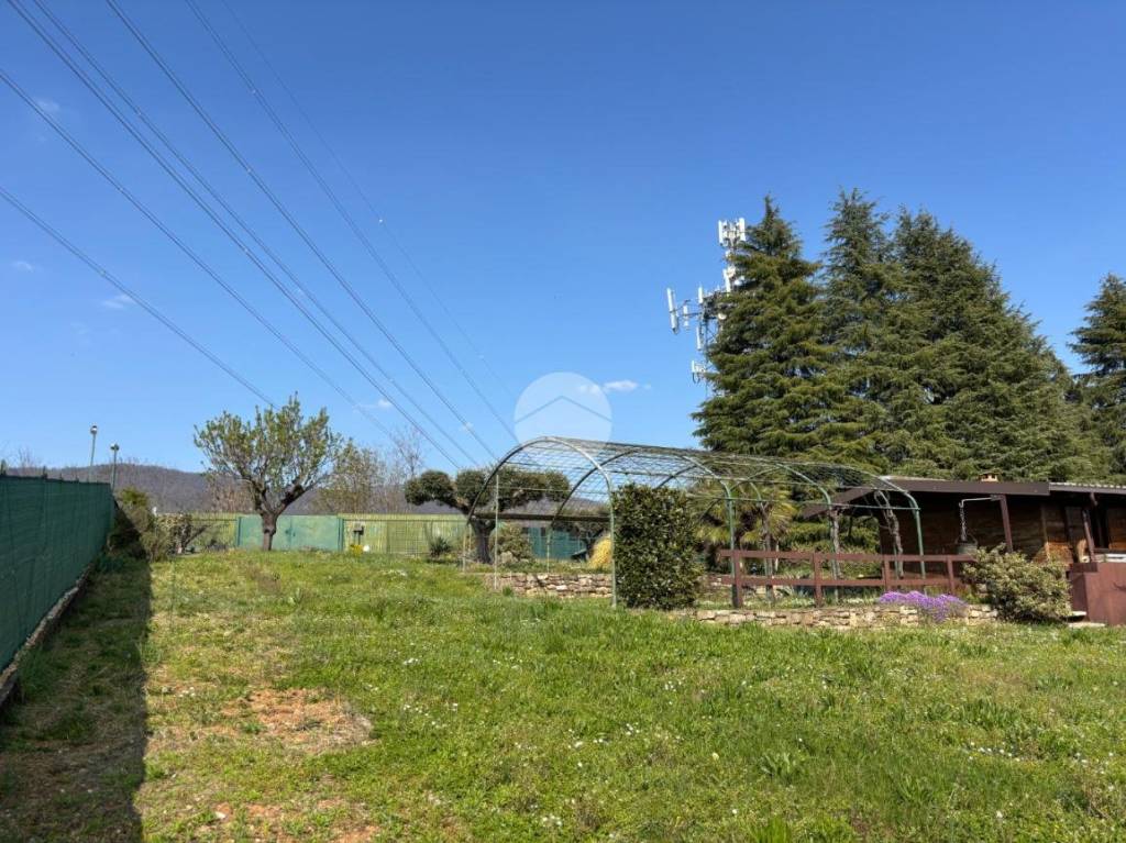 immagine annuncio 2 di 12