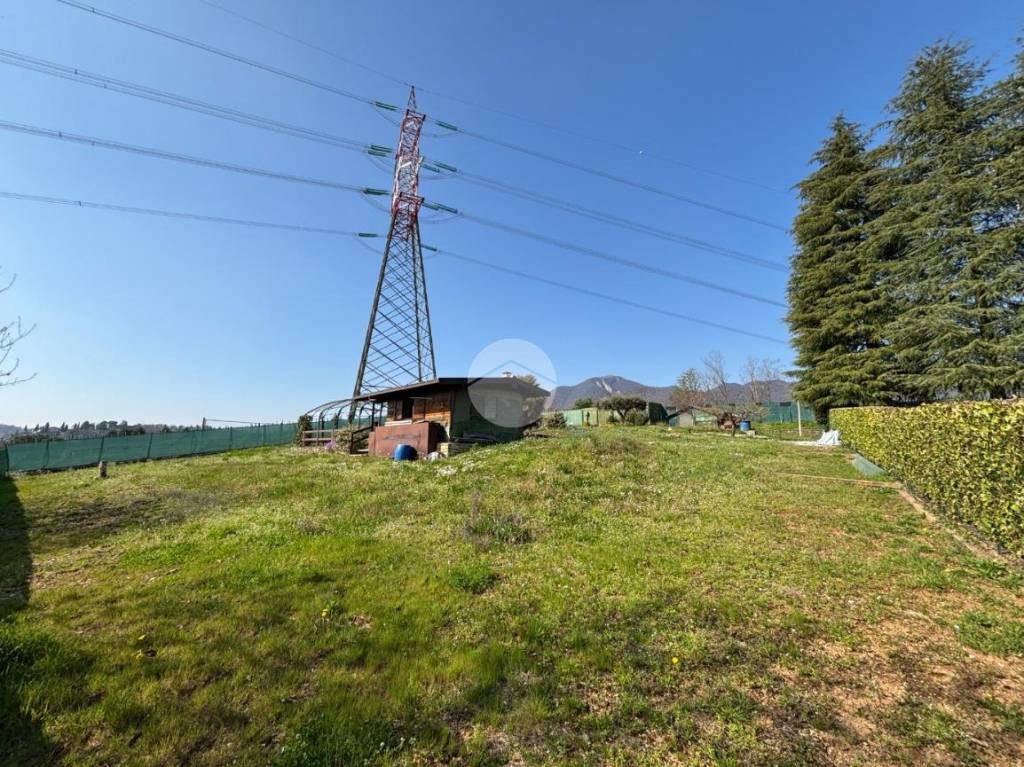 immagine annuncio 3 di 12