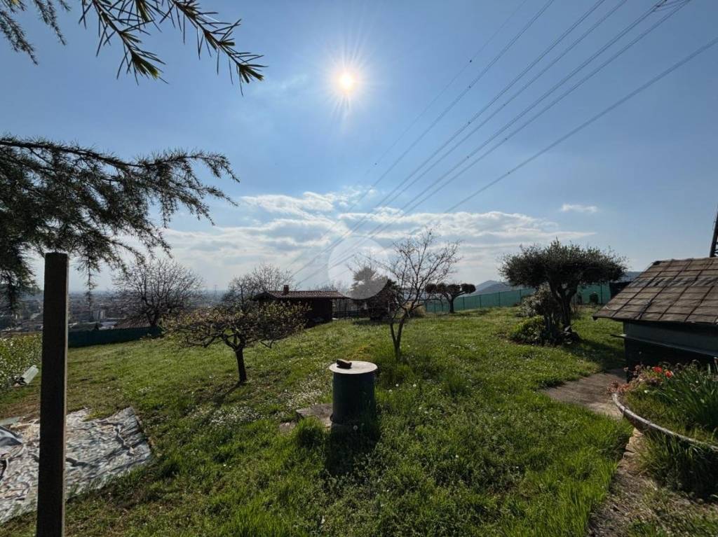 immagine annuncio 5 di 12