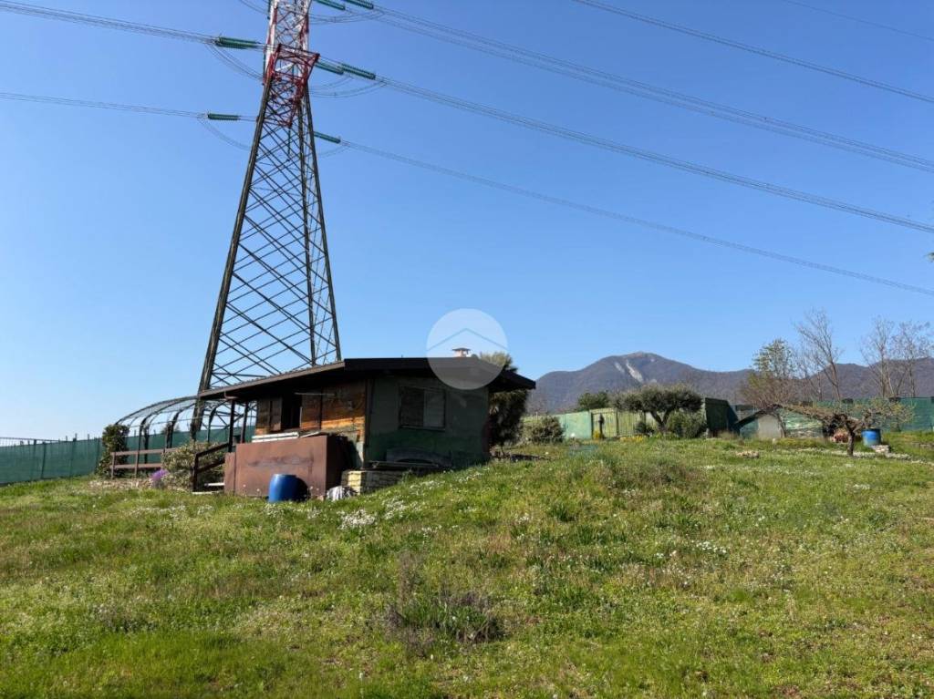 immagine annuncio 6 di 12