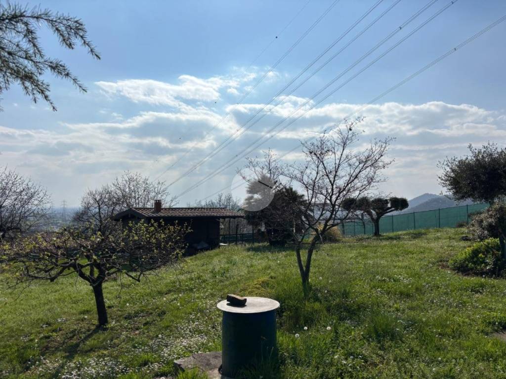 immagine annuncio 7 di 12