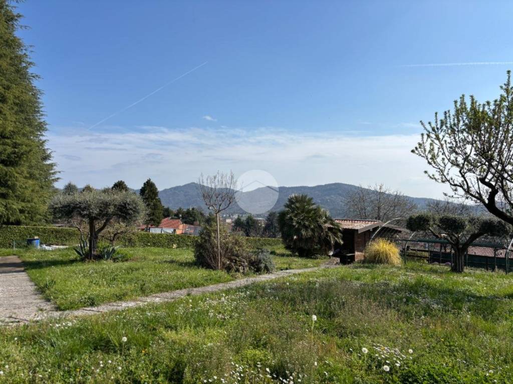 immagine annuncio 8 di 12